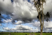 巴萨防守稳固如山，乌姆蒂蒂成为球队不可逾越的后防屏障