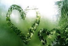 热身赛决赛火热开打，谁能称霸赛场