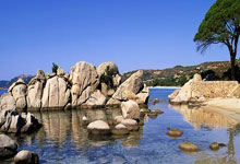 乌尔姆主场失利，德甲保级前途渺茫